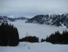 IMG_7648.JPG