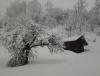 20130111_092813.jpg