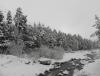 DSCN6171.JPG