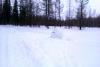 IMAG0077.jpg