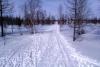 IMAG0052.jpg
