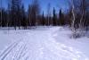 IMAG0063.jpg