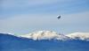 DSC_0017.jpg