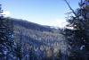 DSC00933.JPG