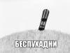 Пуходень8.jpg