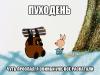 Пуходень6.jpg