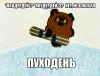 Пуходень1.jpg