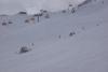 DSC00181.JPG
