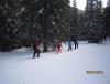 IMG_6378.jpg
