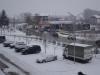 DSC09346.JPG