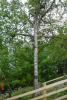 DSC00557.JPG
