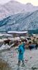 WP_20170109_16_48_01_Pro.jpg