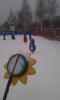 IMAG0694.jpg