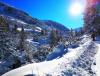 IMG_20190108_192742.jpg