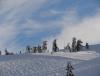 DSC04382.JPG