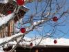 DSC04403.JPG
