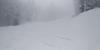IMG-20190122-WA0002.jpeg