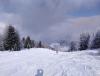 IMG_20190124_123326.jpg