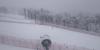IMG_20200131_102859.jpg