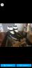 Screenshot_20200104-000423.jpg