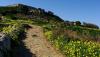 DSC08558.JPG