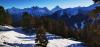 IMG_20201229_154042.jpg