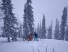 IMG-20210130-WA0014.jpg