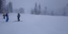 IMG_20200131_101646.jpg