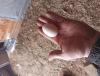IMG_20201120_130623.jpg