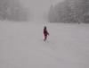 IMG_20220131_122944.jpg