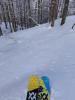 IMG_20210302_095229.jpg