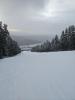 IMG_20220104_092425889.jpg