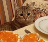 9f6101ce-8dde-427c-ae6d-3eebd1f4386c.png