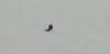 Screenshot_20230120_231251_com.google.android.youtube.jpg