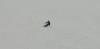 Screenshot_20230120_231212_com.google.android.youtube.jpg