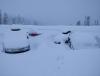 IMG_20210130_095659.jpg