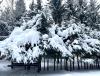 FF1B1AD4-7028-4C1E-BCEB-F0BF89B17229.jpeg