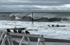 IMG-20250118-WA0020-2.jpg