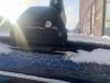 IMG_7536.jpeg