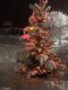 IMG_2865.jpeg