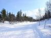 DSC04468.jpg