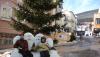 DSC02389.JPG