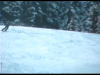 NVE00043.png