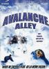 1253964832_Dolina_lavin_Avalanche_Alley_2001.jpg