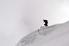 post_1689_1298319411.jpg