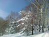 12022011064.jpg