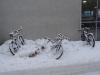 DSC01560.JPG