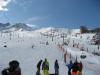 IMG_4462.JPG
