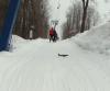 IMG_5007_1.jpg