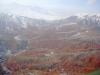 DSC08826.jpg